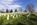 Poignant rows of simple marble headstones at Arlington National Cemetery, Virginia 