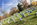 Autumn vista of the rows of simple marble headstones in Section 33 at Arlington National Cemetery, Virginia