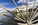 Creative view of the iconic "Cherry Blossom" vessel docked at City Marina, Alexandria, Virginia