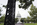 Creative view from the ornamental designed Capitol grounds with the Capitol Dome blurred out behind, Capitol Hill, Washington DC