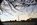 Dayset skies above the Potomac River Tidal Basin with the Washington Monument in view, National Mall & Memorial Parks, Washington DC