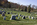Autumn vista from Arlington National Cemetery, Virginia 