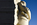 Side-on view of the carved profile of Dr. King with folded arms and a stern expression emerging from the Stone of Hope, centrepiece statue of the Martin Luther King, Jr. Memorial, District of Columbia