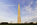 Dayset view of America's national monument, the Washington Monument with fifty American flagpoles encircling it's plaza, The Mall, Washington DC