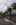 Late autumn portrait scene from Washington Harbor featuring the Waterfront boardwalk, Georgetown, District of Columbia