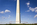 One of the views of Washington DC, featuring the Washington Monument & American flagpoles, smbol of America, The Mall, District of Columbia