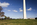 Autumn scene featuring the national monument of America towerig above the capital, Washington Monument, Washington DC