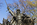 Close-up scene of the bronze "Infantry Group" statue, part of extensive scene of American Civil War statues in Union Square, Capitol Hill, Washington DC