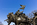 Close-up of the "Artillery Group" statue, part of a series of American Civil War statues making up the Ulysses s. Grant Memorial in Union Square, Capitol Hill, Washington DC