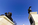Unique view of the central bronze equestrian statue of General Grant at the Ulysses Grant Memorial in union Square including the Capitol Dome behind, Capitol Hill, Washington DC
