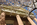 Greek Revival portico of the Athenaeum on Prince Street, Old Town Alexandria, Virginia
