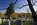 A late fall view of Arlington National Cemetery, featuring America's national monument in the distance