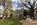 A springtime Capitol grounds scene from the Capitol District in Richmond, Virginia featuring the Dr. Hunter Holmes McGuire Statue and the Gothic Revival edifice of Old City Hall behind