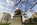 Spring scene from the Capitol grounds featuring the bronze statue of Dr. Hunter Holmes McGuire, Capitol District, City of Richmond, Virginia