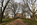 Spring scene from the ceremonial like tree-lined pathway leading up towards the Georgian-styled edifice of McDowell Hall, St. John's College, Annapolis, Maryland 