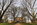 Springtime scene looking up the inviting tree-lined pathway up towards the historic McDowell Hall, St. John's College, Annapolis, Maryland