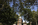 Independence Square summer scene featuring the Commodore John Barry Statue including the historic Independence Hall behind, Independence National Historical Park, Old City, Philadelphia