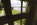 Unique framed view from inside Plas Newydd country house overlooking the estates manicured grounds and Menai Strait, Llanddaniel Fab, Anglesey, Gwynedd