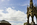 The elaborate Gothic pavilion of the Albert Memorial and roof structure of the Royal Albert Hall