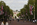 Street level scene from Royal London featuring a view along the tree-lined avenue of the Mall looking towards Admirality Arch