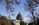 A framed autumnal scene featuring the Capitol Dome during the restoration process, US Capitol Buidling and grounds, Capitol Hill, Washington DC
