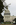 Late summer portrait scene the east-side of the Mall featuring the western edifice of the United States Capitol Building, Washington DC