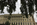 Summer scene from the Capitol Grounds featuring the south-side of the United States Capitol Building, The Hill, District of Columbia