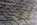 Striking view of the names of the fallen soldiers of the Vietnam conflict etched upon the surface of the black granite wall of the Vietnam Veterans Memorial in constitution Gardens, Washington DC