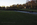 A low-light autumn scene featuring the two black triangular walls of the Vietnam Veterans Memorial, Constitution Gardens, Washington DC