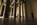 Early morning scene from the North Chamber of the Abraham Lincoln Memorial featuring the marble Lincoln Statue at the back of the central hall, Washington DC
