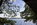 A summer scene from the Potomac River Tidal Basin, featuring the Thomas Jefferson Memorial, National Mall, Washignton DC