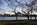 A late autumn scene from the Tidal Basin, featuring the Thomas Jefferson Memorial and cherry trees, National Mall, Washington DC