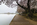 Early morning misty spring scene from the banks of the Tidal Basin featuring cherry blossoms and the Thomas Jefferson Memorial, West Potomac Park, Washington DC