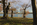 A late afternoon autumn scene from amongst the cherry trees lining the banks of the Tidal Basin featuring the Thomas Jefferson Memorial, District of Columbia