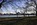 One of the views of the Tidal Basin, featuring an autumn scene including the Thomas Jefferson Memorial and cherry trees, West Potomac Park, Washington DC