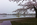 A cherry blossom scene from the banks of the Tidal Basin featuring the Thomas Jefferson Memorial, a presidential memorial on the banks of the man-made inlet in West Potomac Park, Washington DC