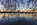 A spring daybreak scene from the Tidal Basin, featuring the presidential memorial honouring Thomas Jefferson and cherry blossoms, Washington DC