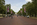 Street level scene from the ceremonial tree-lined avenue of the Mall looking towards Victoria Monument & Buckingham Palace, Royal London, England