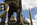 Royal London  scene featuring a view of the Prince Consort National Memorial including the gilded bronze statue of Prince Albert housed inside a Gothic pavilion, Kensington Gardens, London