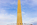 Striking view of the late-afternoon sun gleaming off the surface of America's national monument, the Washington Monument, DC