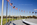 View of a small collection of the fifty American flagpoles encircling the base of America's national monument, the Washington Monument, The Mall, District of Columbia