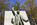 The bronze Teddy Roosevelt Statue in a strong standing speaking pose backed by a granite monolith, memorial plaza, Theodore Roosevelt Island, Washington DC