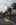 Late autumn portrait scene from Washington Harbor featuring the Waterfront boardwalk, Georgetown, District of Columbia