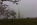 Misty scene from west-side of the Washington Monument featuring the obelisk nearly totally engulfed and cherry blossom in bloom, Washington DC