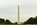 Summertime scene from the grassy lawn of the Mall featuring the Washington Monument, Washington DC