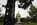 Unique scene from the Capitol Grounds featuring elements of the ornamental Olmstead hardscaping and terracing including the US Capitol Building, The Hill, District of Columbia