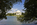 One of the scenes of the Tidal Basin featuring a view of the Thomas Jefferson Memorial from amongst the cherry trees lining the banks of the man-made inlet, District of Columbia