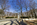 A spring scene from Roosevelt Island featuring the memorial plaza it's centrepiece including the Teddy Roosevelt Statue, Potomac Heritage National Scenic Trail, Washington DC