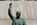 Theodore Roosevelt Memorial Plaza scene featuring the top-half of the larger than life size bronze statue of Teddy Roosevelt depicted in a stong speaking pose backed by a granite monolith, Roosevelt Island, Washington DC