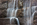 Telephoto lens view of a cascading man-made waterfall inset into the red South Dakota granite walls separating the mammoth open-air rooms at the Franklin Delano Roosevelt Memorial, Washington DC